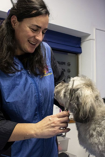 Peluqueria canina La Mascoteca en Aranda de Duero